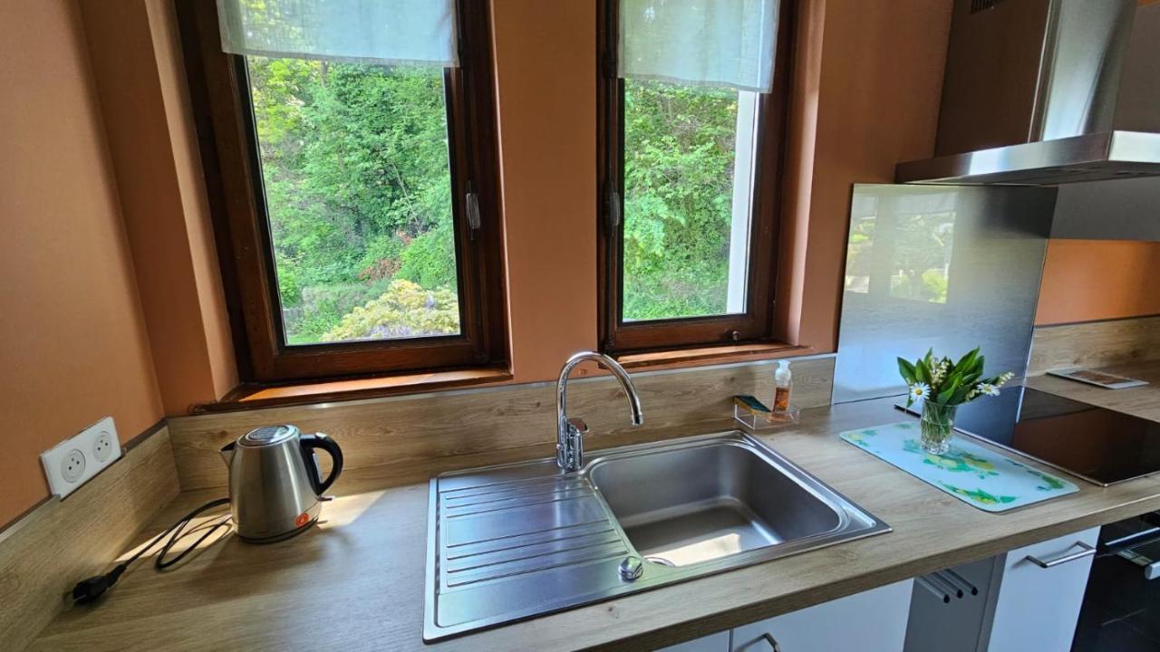 Villa La Moraine Thonon-les-Bains Exterior foto